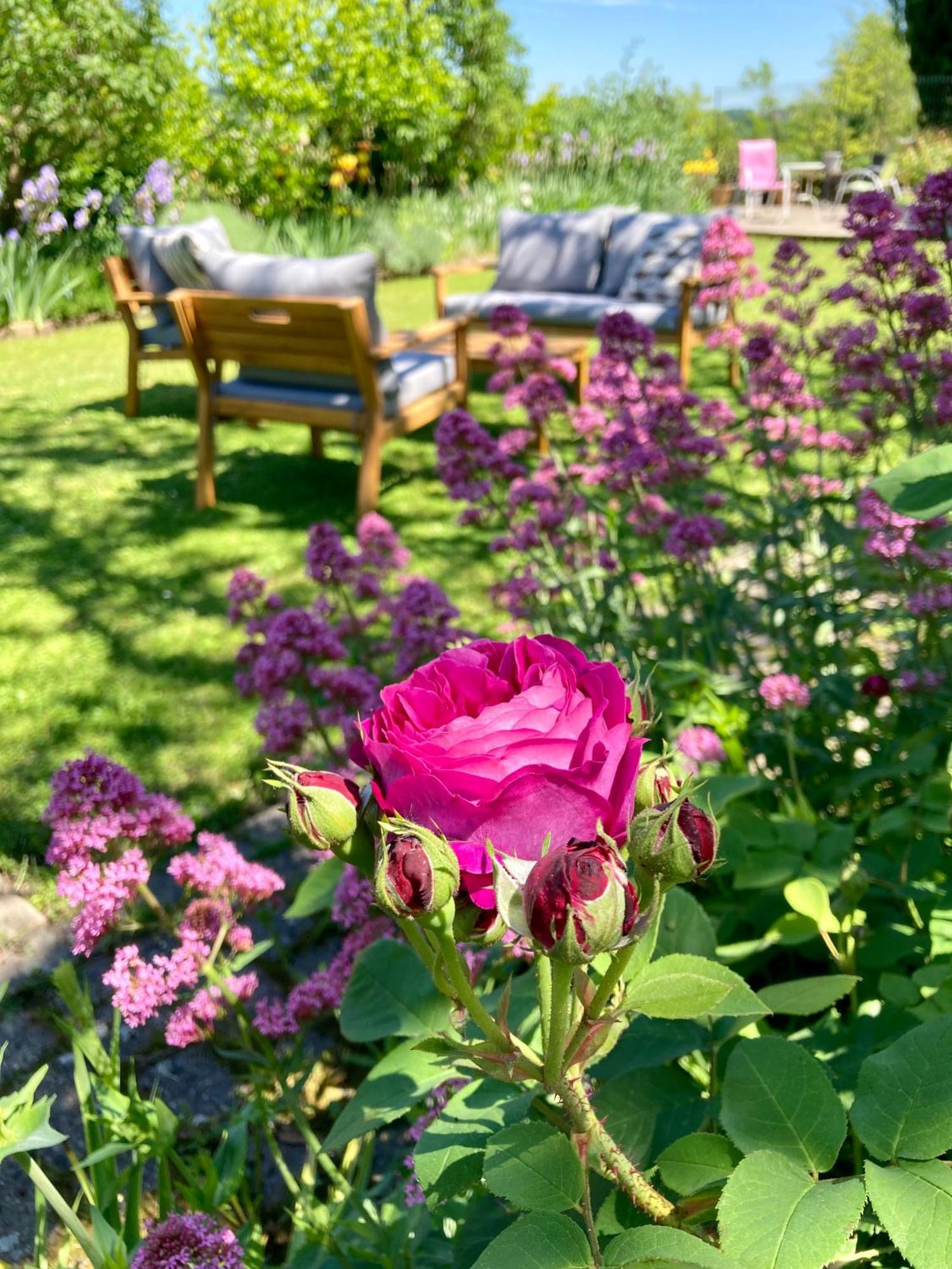 Le Petit Cochon Bed & Breakfast Valence-sur-Baise